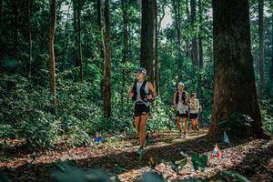 BIB: 
                            <button type="button" onclick="openModal(26130678)" class="btn btn-primary btn-sm float-right btn-popup" data-toggle="modal" data-target=".modal-high-quality">
                        <i class="fas fa-shopping-cart"></i> Add to Cart
                    </button>
                                            <button type="button" onclick="isThisMe(26130678, true)" class="btn btn-success btn-sm float-right btn-popup btn-isme hidden" data-toggle="tooltip" data-placement="bottom" title="นี่คือรูปของคุณใช่ไหม คลิกที่นี่เพื่อเอาเข้าอัลบั้ม">
                        <i class="fas fa-plus"></i> Add to album
                    </button>
                    <button type="button" onclick="isThisMe(26130678, false)" class="btn btn-warning btn-sm float-right btn-popup btn-isnotme hidden">
                        <i class="fas fa-ban"></i> Remove from album
                    </button>